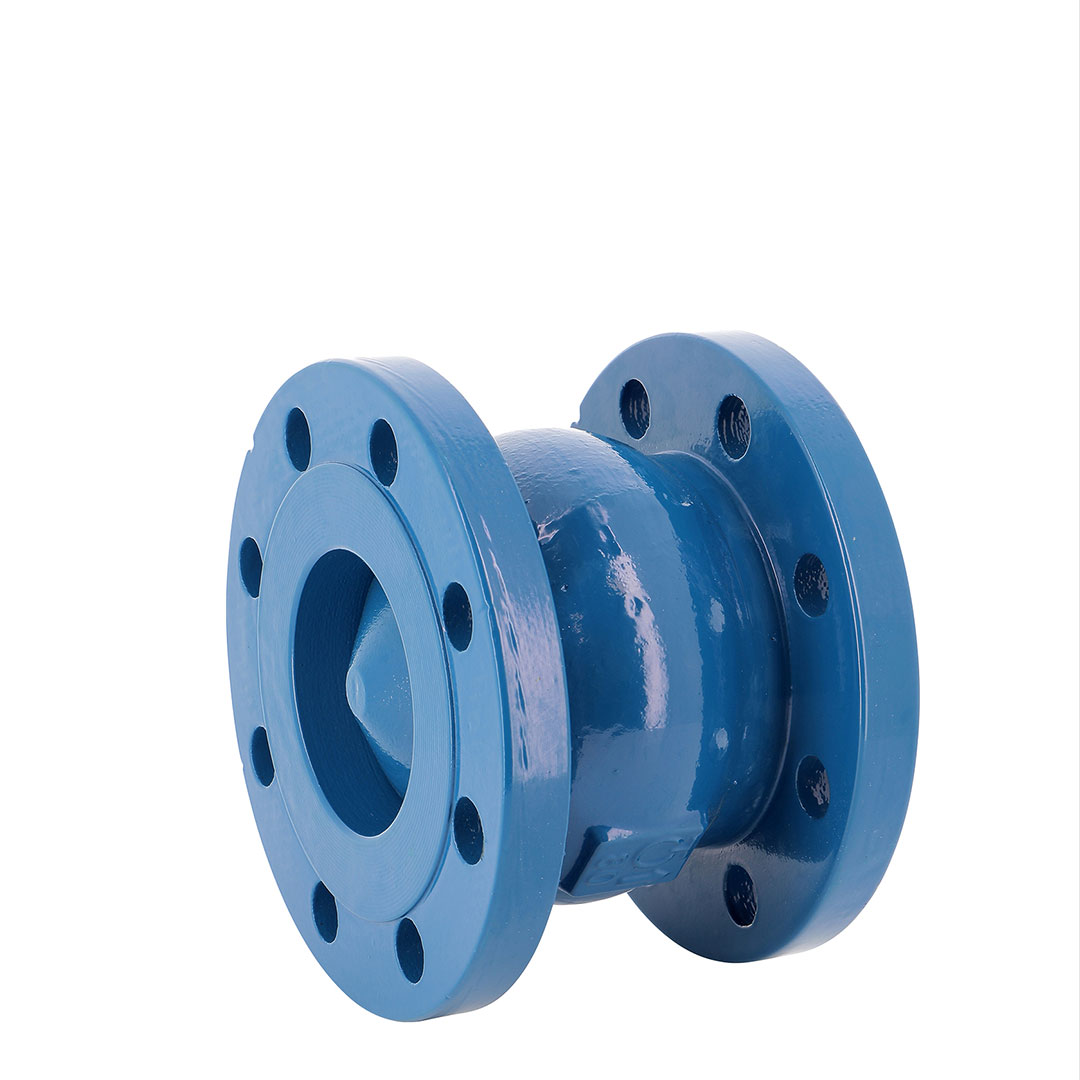 Check valves for water