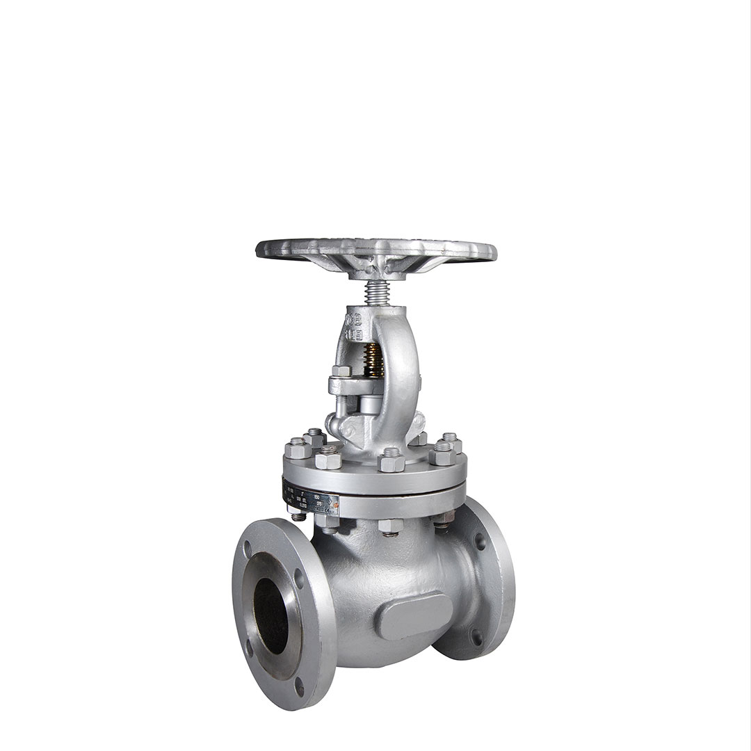 Cast steel valves