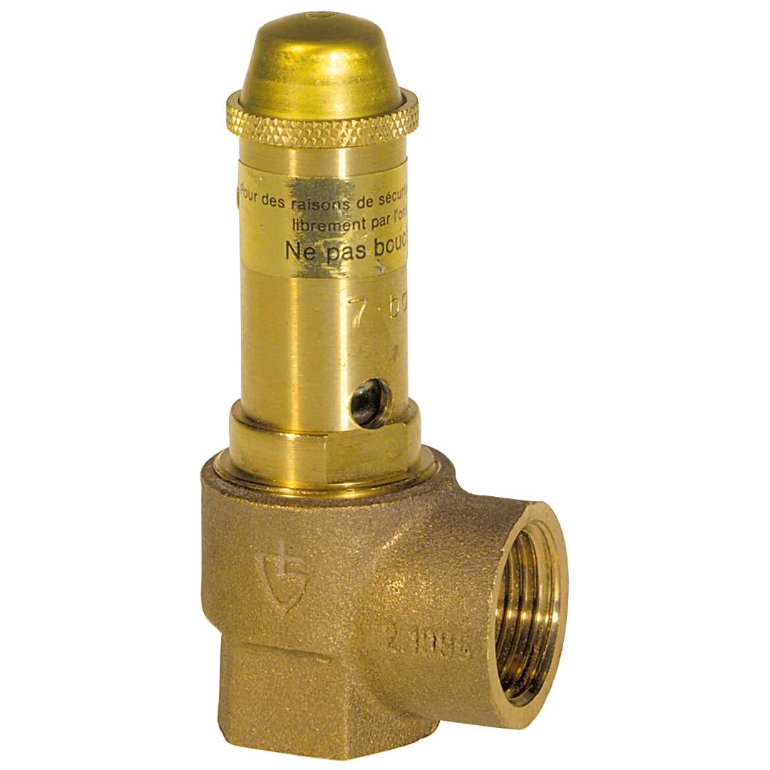 Sanitary safety valves for water heater