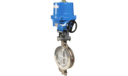 Double offset butterfly valve 1114 + NA electric actuator