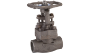 Carbon steel A105N gate valve 112 TRIM8 800 lbs SW
