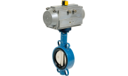 Cast iron butterfly valve 1123 + RE/RES pneumatic actuator