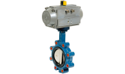 Cast iron butterfly valve lug type 1135 + RE/RES pneumatic actuator