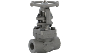 Carbon steel A105N gate valve 114 TRIM8 800 lbs BSP