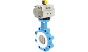 TTV Ductile iron butterfly valve 1166 + RE/RES pneumatic actuator