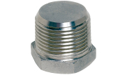 Stainless steel plain hexagonal plug BSP 2023