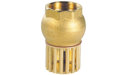 Full brass foot check valve 304