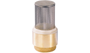 Stainless steel foot valve with nylon clack 310