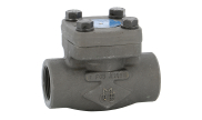 Carbon steel A105N piston check valve 313 TRIM8 800 lbs NPT