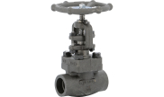 Carbon steel A105N globe valve 412 TRIM 8 800 lbs SW