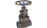 Carbon steel A105N globe valve 413 TRIM 8 800 lbs NPT