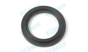 Gasket for micro clamp fittings