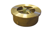 Thermostop check valves - Flanged