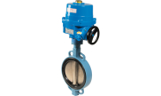 TTV Ductile iron butterfly valve 1153 LT6 + NA electric actuator