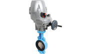 TTV Ductile iron butterfly valve 1153LT10 + PFQ08 electric actuator
