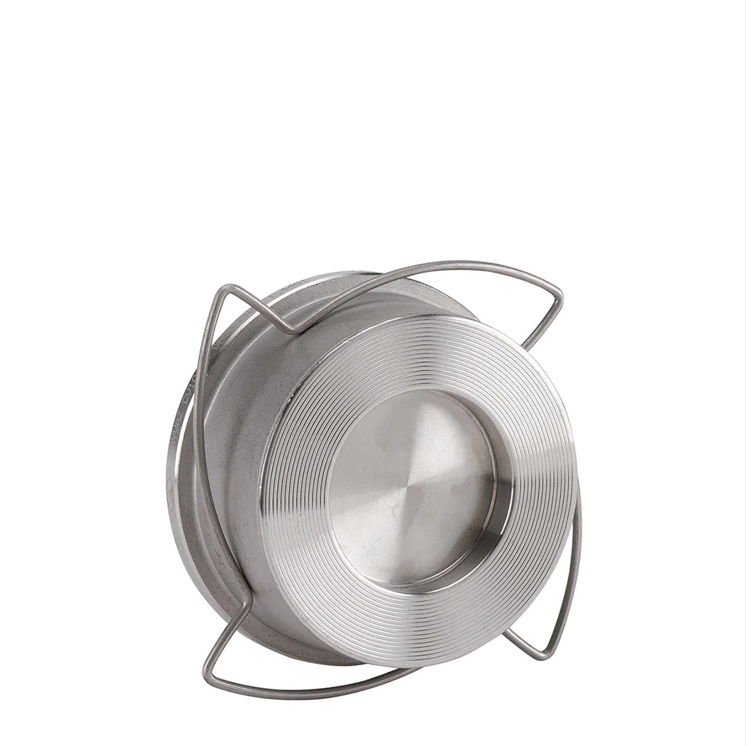 Check valves for industry