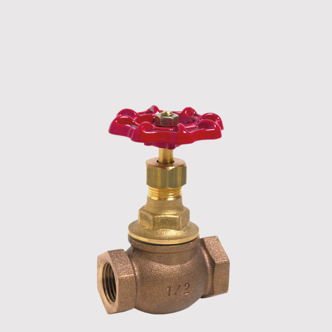 Needle valves and globe valves