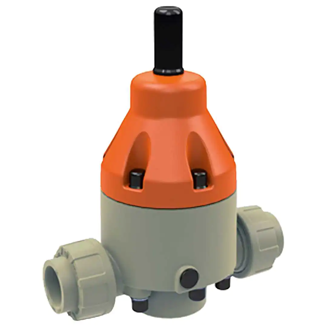 Other valves