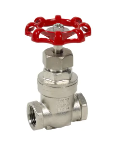 Stainless steel gate valve 106 BSP female/female