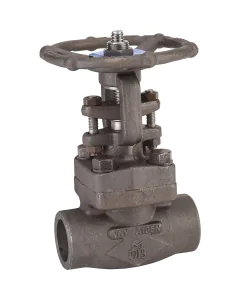 Carbon steel A105N gate valve 112 TRIM8 800 lbs SW