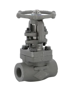 Carbon steel A105N gate valve 114 TRIM8 800 lbs BSP
