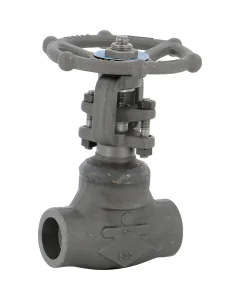 Carbon steel A150N gate valve 117 TRIM 5 800 lbs SW