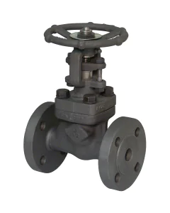 Carbon steel A150N gate valve 131 TRIM 5 300 lbs RF
