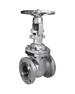 Cast steel A216WCB gate valve 143 RF ANSI150