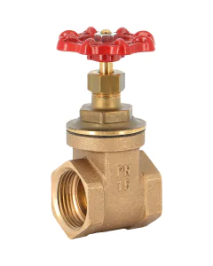 Bronze gate valve 146 BSP