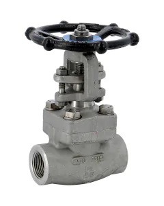Stainless steel F316 gate valve 153 TRIM 10 800 lbs NPT