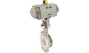 TTV Stainless steel butterfly valve 1119 + RE/RES pneumatic actuator