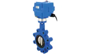 Ductile iron butterfly valve 1133 + TCR electric actuator