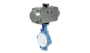 TTV Ductile iron butterfly valve 1155 + RE/RES pneumatic actuator