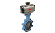 TTV Ductile iron butterfly valve 1161 + ADA/ASR pneumatic actuator