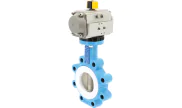 TTV Ductile iron butterfly valve 1166 + RE/RES pneumatic actuator