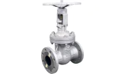 Cast steel A216WCB gate valve 141 RF PN40 EN558 series 26