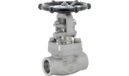 Stainless steel F316 gate valve 152 TRIM 10 800 lbs SW