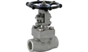 Stainless steel F316 gate valve 153 TRIM 10 800 lbs NPT