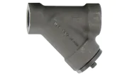 Carbon steel A105N Y-strainer 231 800 lbs BSP