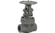 Carbon steel A105N globe valve 403 TRIM 8 600 lbs NPT