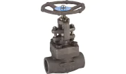 Carbon steel A105N globe valve 413 TRIM 8 800 lbs NPT