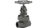 Carbon steel A350LF2 globe valve 423 TRIM 16 1500 lbs SW