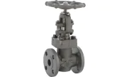 Carbon steel A105N globe valve 440 TRIM 5 150 lbs RF