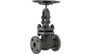 Carbon steel A150N globe valve 441 TRIM 5 300 lbs RF