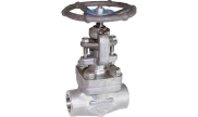 Stainless steel F316 globe valve 452 TRIM 10 800 lbs SW