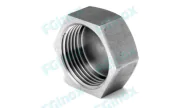 Hexagonal cap NPT - 316L