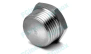 Hexagonal plug NPT - 316L