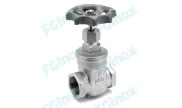 Stainless steel gate valve RO BSP