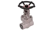 JC VALVES stainless steel gate valve VGA800 TRIM 12 800 lbs NPT 3/4''