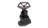 JC VALVES carbon steel globe valve VGA800 TRIM 5 800 lbs NPT 3/4''